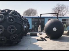 STSフェンダーディスプレイ