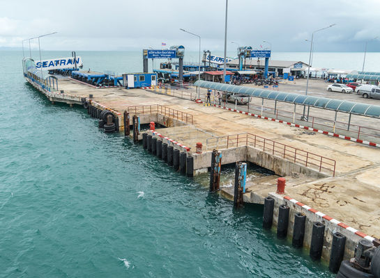 品質 利用できる強い耐久の注文のサイズを取付けること容易な海洋のDタイプのゴム製 フェンダー 工場