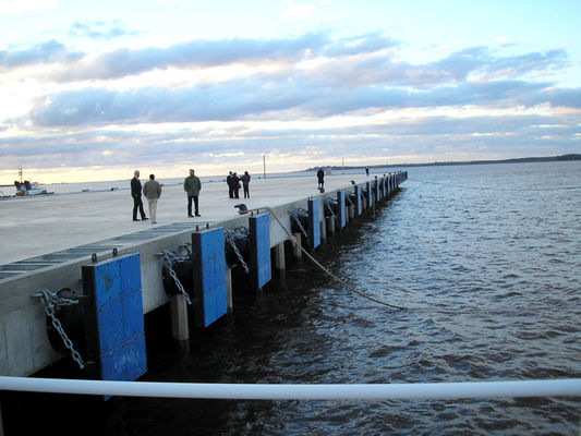 品質 円錐形のタイプ海洋の船のゴム製 フェンダーのパッド、円錐形のボートのゴム製 フェンダー 工場