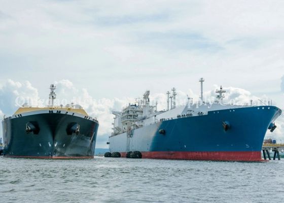 品質 ゴム製管が付いているCCSの証明の耐久力のある空気の海洋のフェンダー 工場