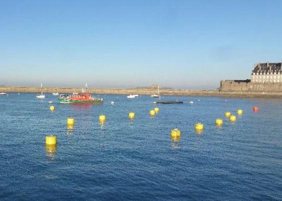 品質 強い天候の固着のプラットホームを浮かべるための海洋の係留ブイのより高い積載量 工場