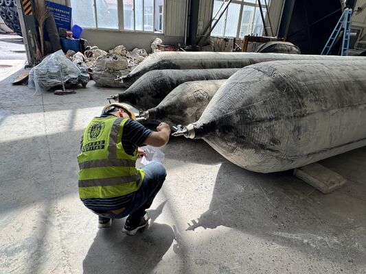 品質 Anti Corrosion Marine Rubber Airbag for Long Term Saltwater Service with 0.8-3 M Diameter 工場