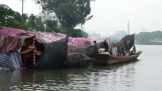 品質 直接製造業者が供給するカスタマイズ可能で膨脹可能なゴム製 エアバッグ、 工場