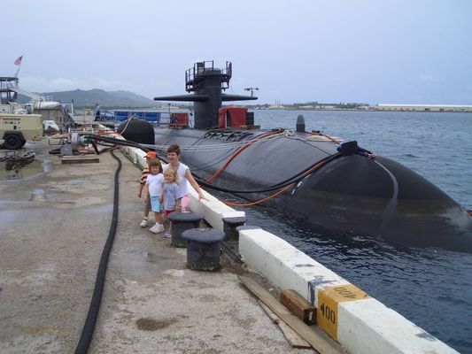 品質 タイプⅥ ハイドロ空気のタイプ フェンダーの軍艦の空気のゴム製 フェンダーの鎖のタイヤ 工場