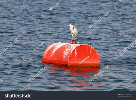 品質 高い浮力のヨットのための海洋のブイを浮かべる大きい鋼鉄係留ブイ 工場